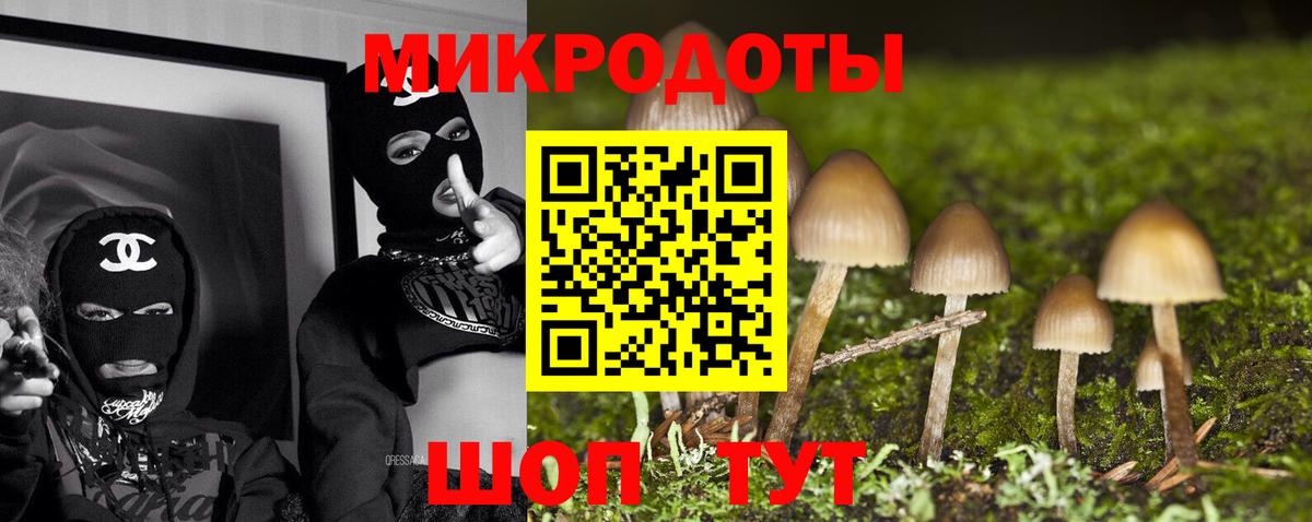 закладки  Галлюциногенные грибы Magic Shrooms  Каменка  Галлюциногенные грибы MAGIC MUSHROOMS 