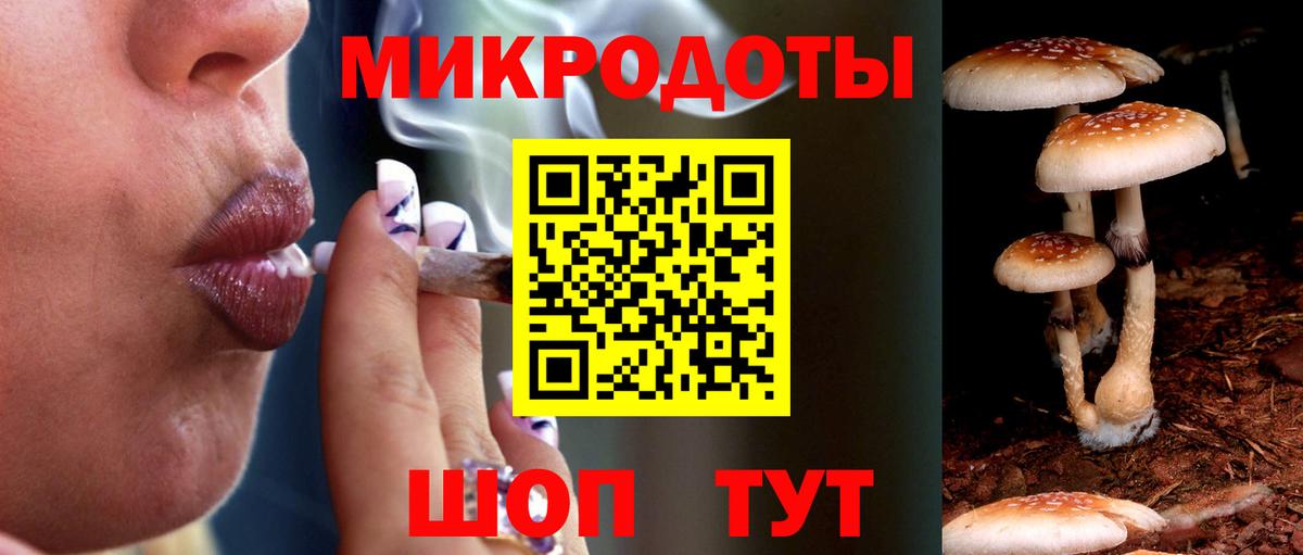Каменка  Галлюциногенные грибы ЛСД  Галлюциногенные грибы прущие грибы  Вход с VPN 